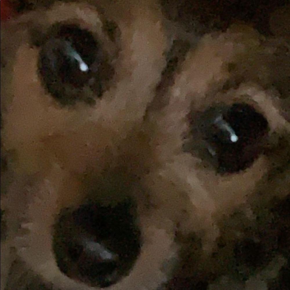 Meet your Posher, Kat